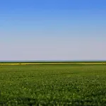 SalzWasserHerz Senhoog Luxury Holiday Homes *****